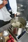 Globe , GIB500-12, Immersion Blender, Variable, 3/4 HP
