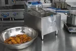 Globe PF16E, Fryer, Electric, Countertop, Full Pot, 208-240V, 16 Lbs. Oil Capacity