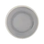 Thunder Group , DM009H, Plate, Plastic, Melamine, Round, 9.25" Dia